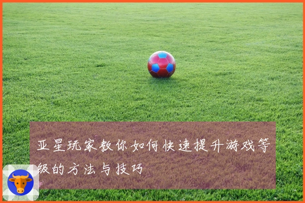 亚星玩家教你如何快速提升游戏等级的方法与技巧